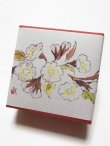 画像1: ちりめん山椒小箱入　【桜】　＊季節限定デザイン＊