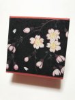 画像1: ちりめん山椒小箱入　【夜桜1】　＊季節限定デザイン＊