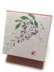 画像1: ちりめん山椒小箱入　【藤】　＊季節限定デザイン＊